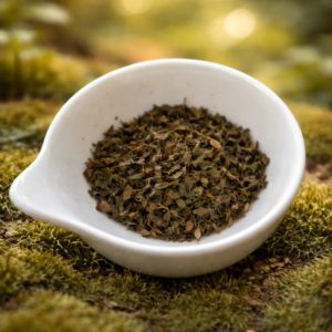 chatgpt image 13 févr. 2026, 17 15 49