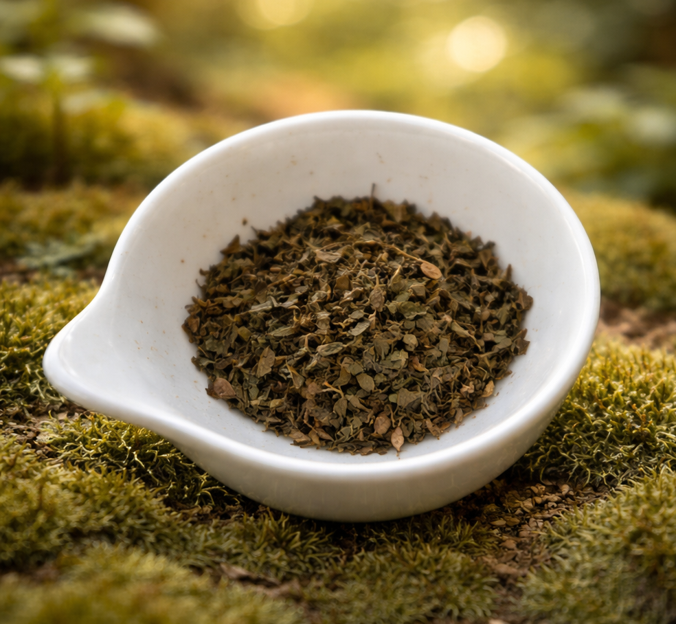 chatgpt image 13 févr. 2026, 17 15 49 chatgpt image 13 févr. 2026, 17 15 49