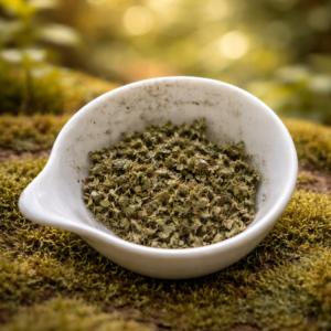 chatgpt image 13 févr. 2026, 17 19 11