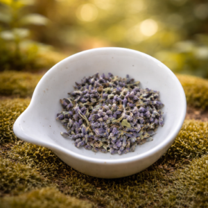 chatgpt image 13 févr. 2026, 17 22 45