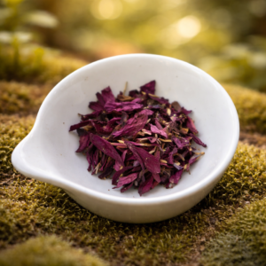 chatgpt image 13 févr. 2026, 17 25 19