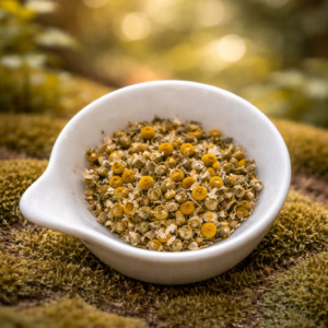 chatgpt image 13 févr. 2026, 18 00 02