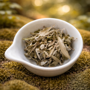 chatgpt image 13 févr. 2026, 18 03 28