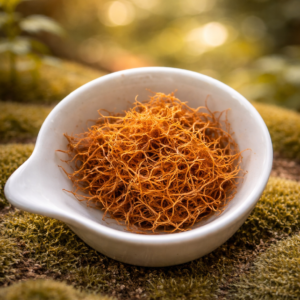 chatgpt image 13 févr. 2026, 18 10 17