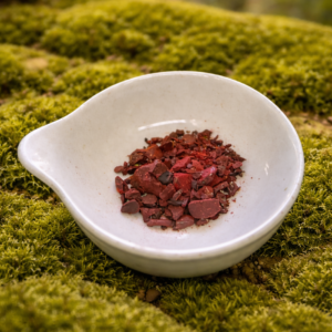 chatgpt image 16 févr. 2026, 18 25 54