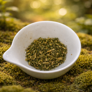 achillée millefeuilles