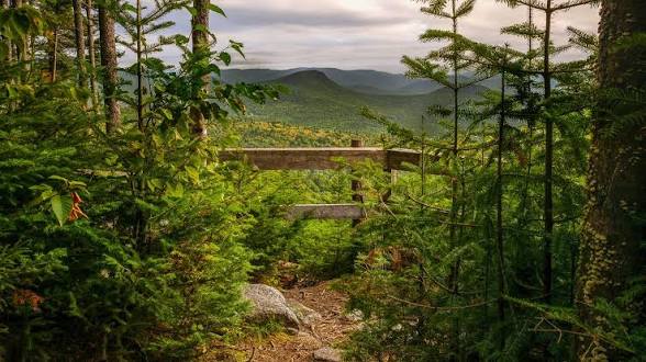 658853000 10163926639409834 7782985777532947191 n